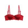 S8b75a7bf1edc42c1ac8d76cab13e88dek.jpg Women’s French Lace Half-Cup Push-Up Bra